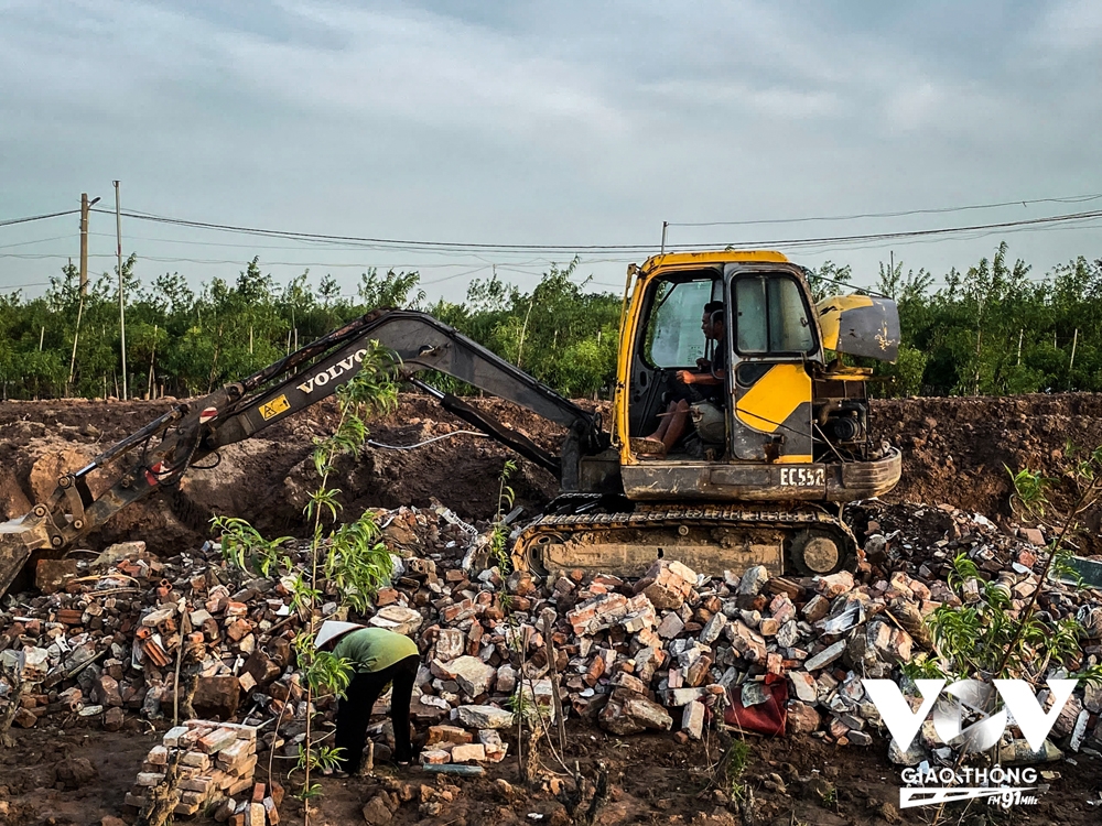Người dân Nhật Tân trồng cúc, rau cải để bán... cho kịp Tết - Ảnh 6