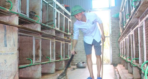 Nuôi con vật "hiền như đất" mê ăn cháo, anh nông dân nhẹ nhàng kiếm 1,4 tỷ đồng - Ảnh 1