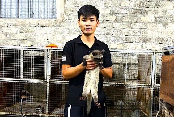 Nuôi con "hiền như đất" tỏa mùi hương, anh nông dân kiếm 300 triệu đồng rất nhẹ nhàng - Ảnh 1