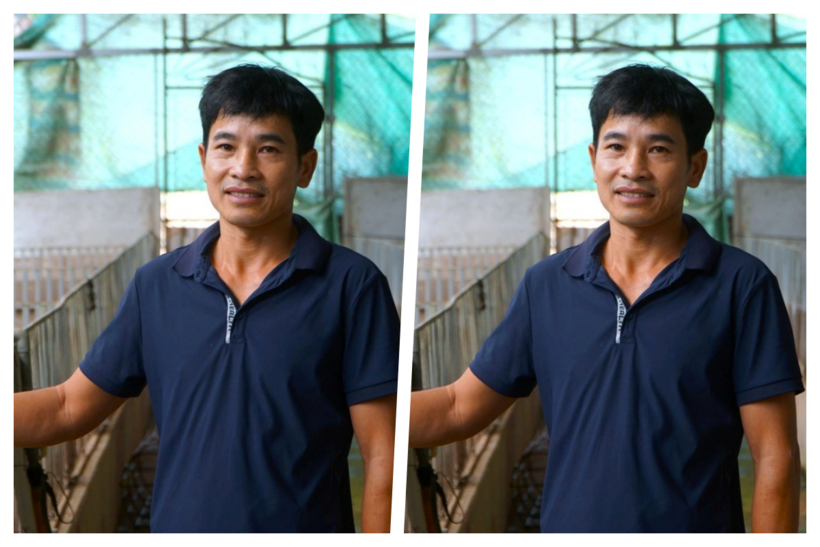 Nuôi loài vật nhút nhát nhưng đố ai dám chạm, anh nông dân kiếm mỗi năm 400 triệu - Ảnh 1