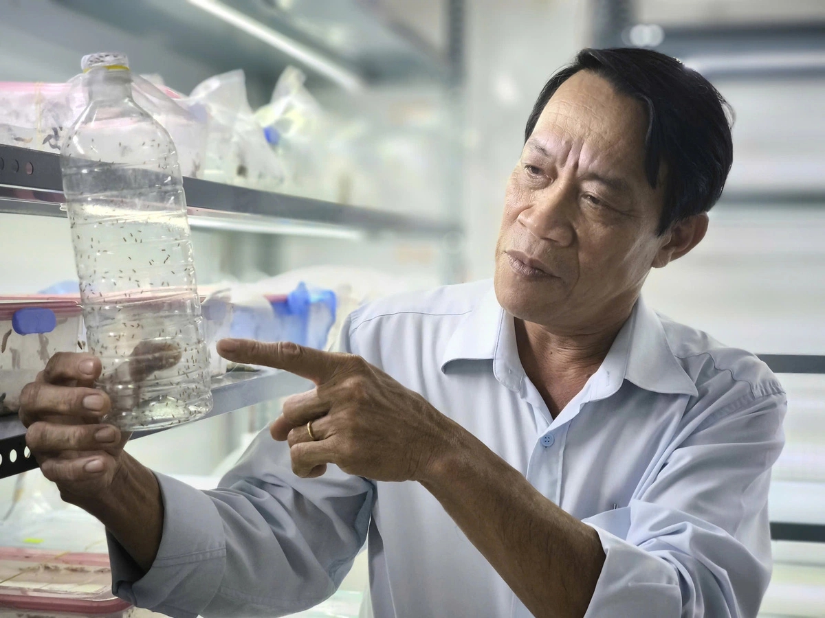 Một tỉnh của Việt Nam vừa thả hơn 500 triệu con ong để "cứu" loại quả mà người Trung Quốc lùng mua - Ảnh 2