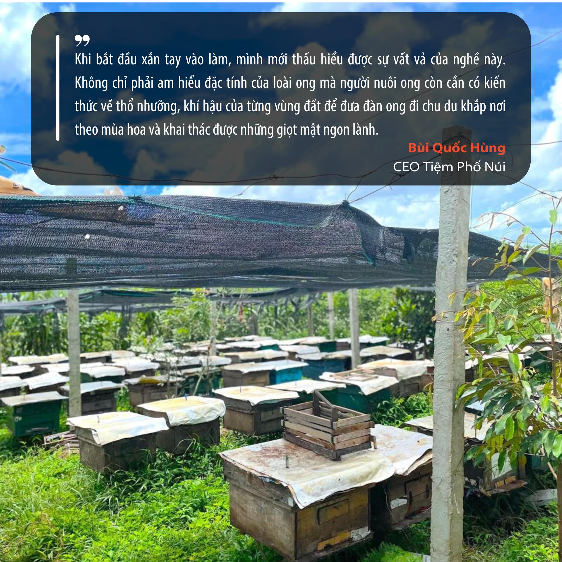 Khi người trẻ bỏ phố về rừng để nâng tầm mật ong vùng cao nguyên - Ảnh 1