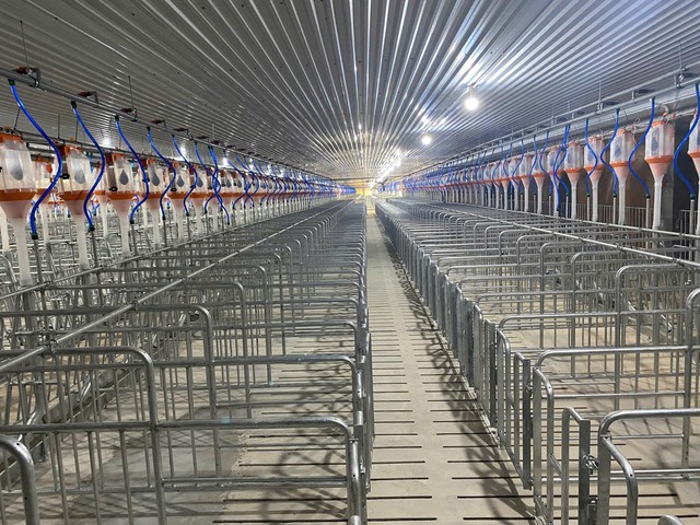 BAF đưa vào vận hành cụm trang trại Hải Hà quy mô lớn bậc nhất miền Bắc - Ảnh 1