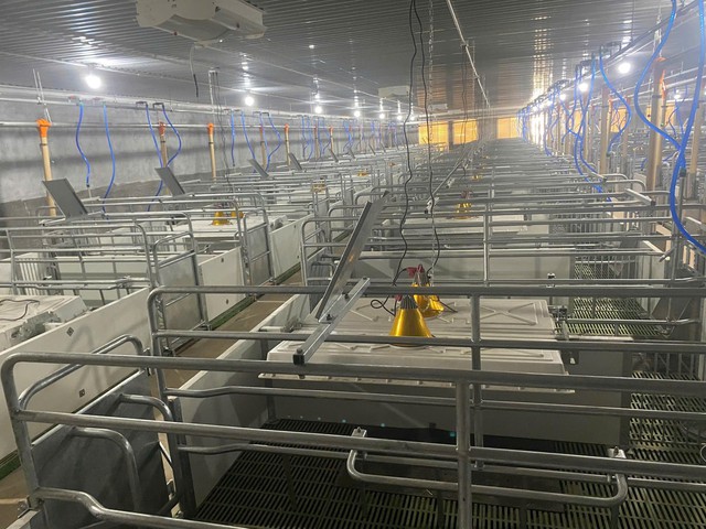 BAF đưa vào vận hành cụm trang trại Hải Hà quy mô lớn bậc nhất miền Bắc - Ảnh 2