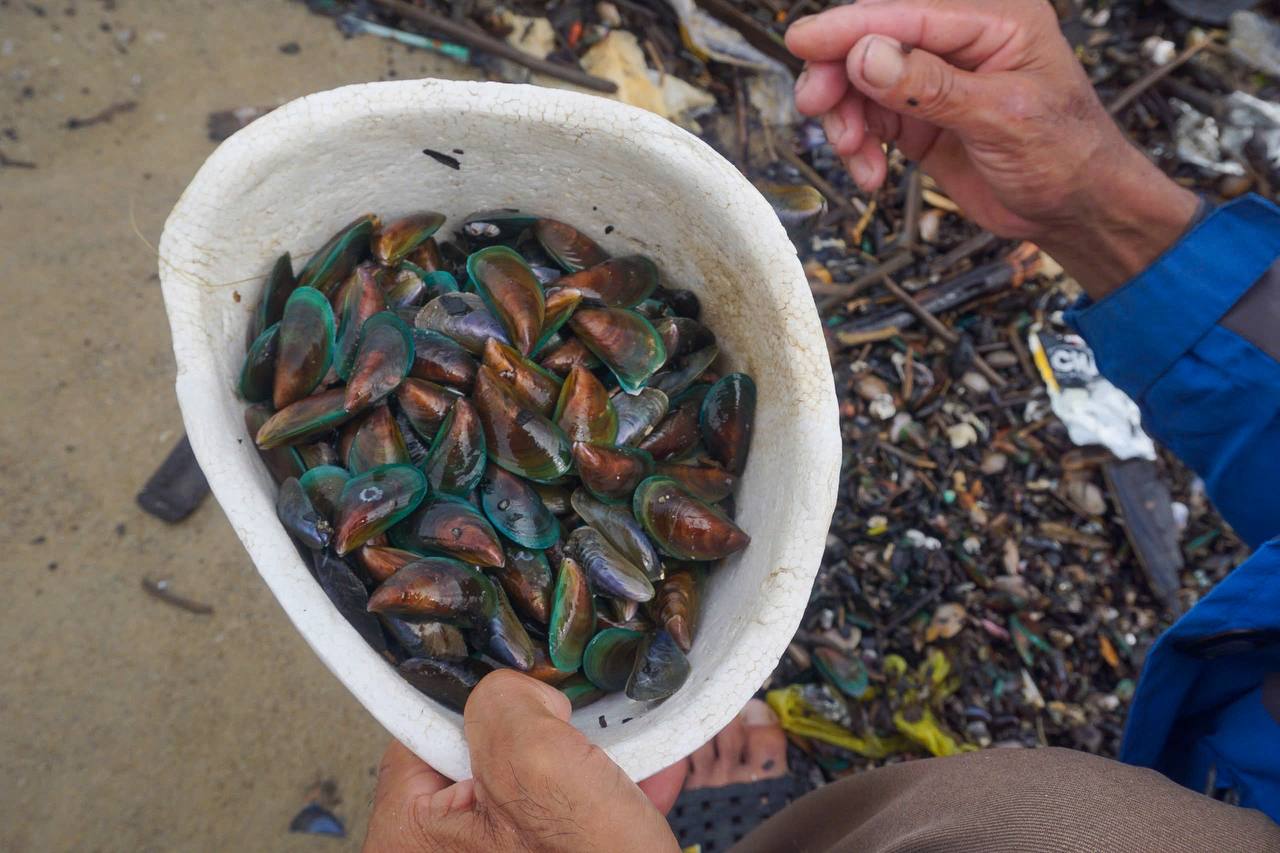 Lạ: Dân Đà Nẵng tràn ra biển sau bão số 6, lập tức hốt được cả chục ký "lộc trời" mang về bán - Ảnh 6
