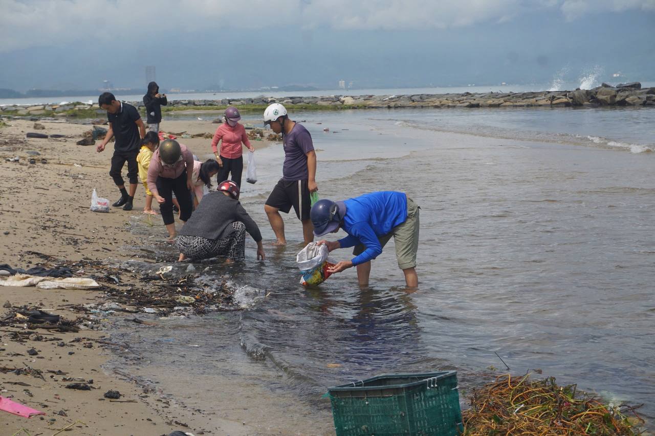 Lạ: Dân Đà Nẵng tràn ra biển sau bão số 6, lập tức hốt được cả chục ký "lộc trời" mang về bán - Ảnh 4
