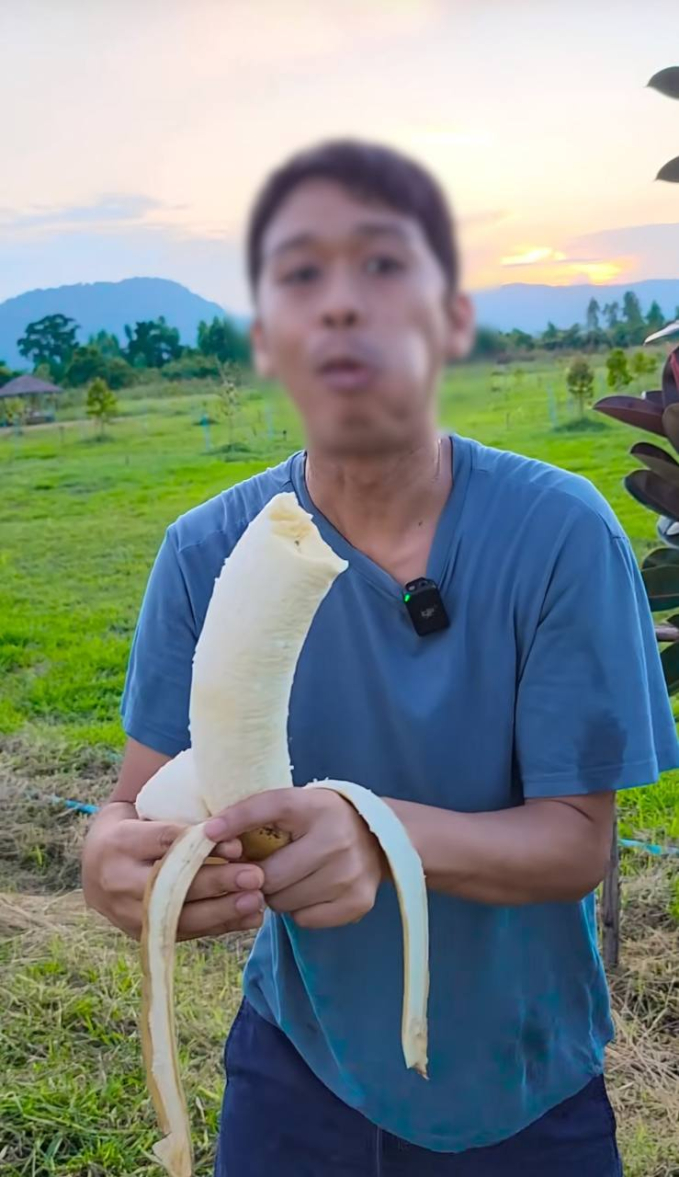 Xuất hiện quả chuối khổng lồ nặng hơn 1kg, cả cây chỉ cho một quả nhưng cả nhà ăn không thể hết - Ảnh 5