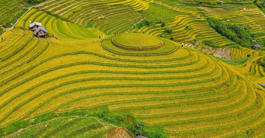 Trong 9 tháng, Việt - Thái xuất khẩu lượng gạo tương đương nhau, nhưng hai nước đều dè chừng một đối thủ - Ảnh 4