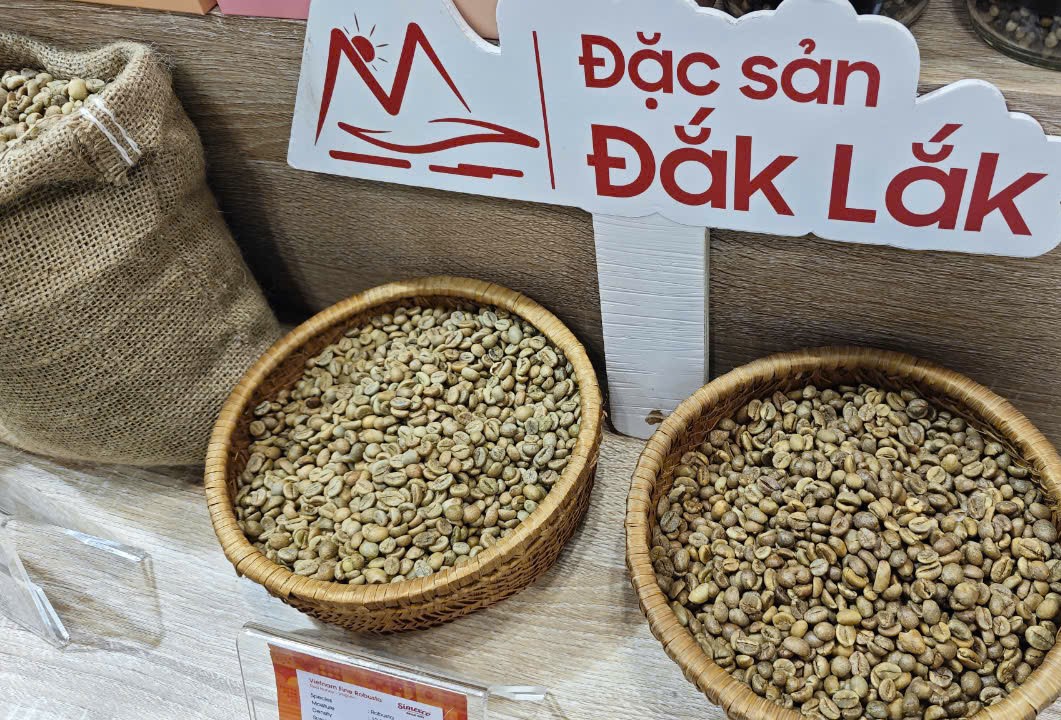 Sốc nặng với giá cà phê Robusta - Ảnh 1