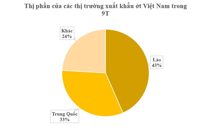 Lào, Trung Quốc mê mệt loại quả 'nhỏ nhưng có võ' này: Việt Nam sở hữu 2 vựa khổng lồ, sản lượng mỗi năm hàng trăm nghìn tấn - Ảnh 1