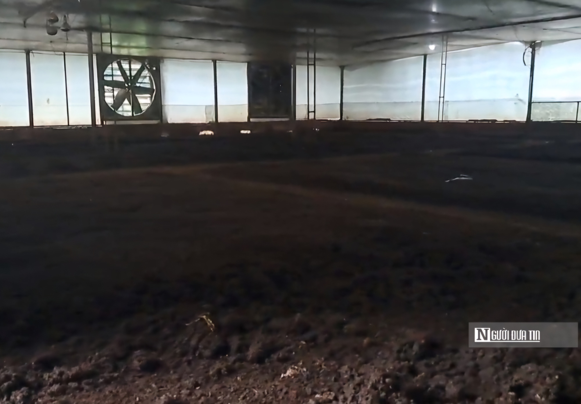 "Hô biến" chất thải gà vịt thành trang trại tiền tỷ, người phụ nữ thu về 40 triệu đồng/tháng - Ảnh 3