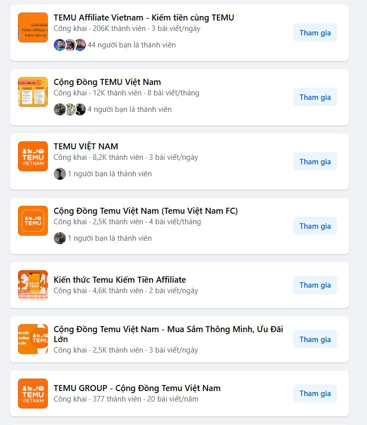 Thử Temu 1 buổi "có ngay 300 triệu": Khách Việt tiết lộ điều kiện "khó nhằn" sau mức hoa hồng không tưởng - Ảnh 3