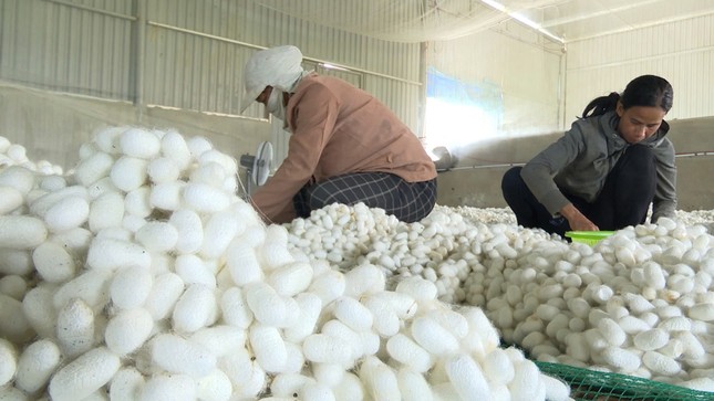 Thu nhập cao nhờ nghề 'ăn cơm đứng' - Ảnh 4