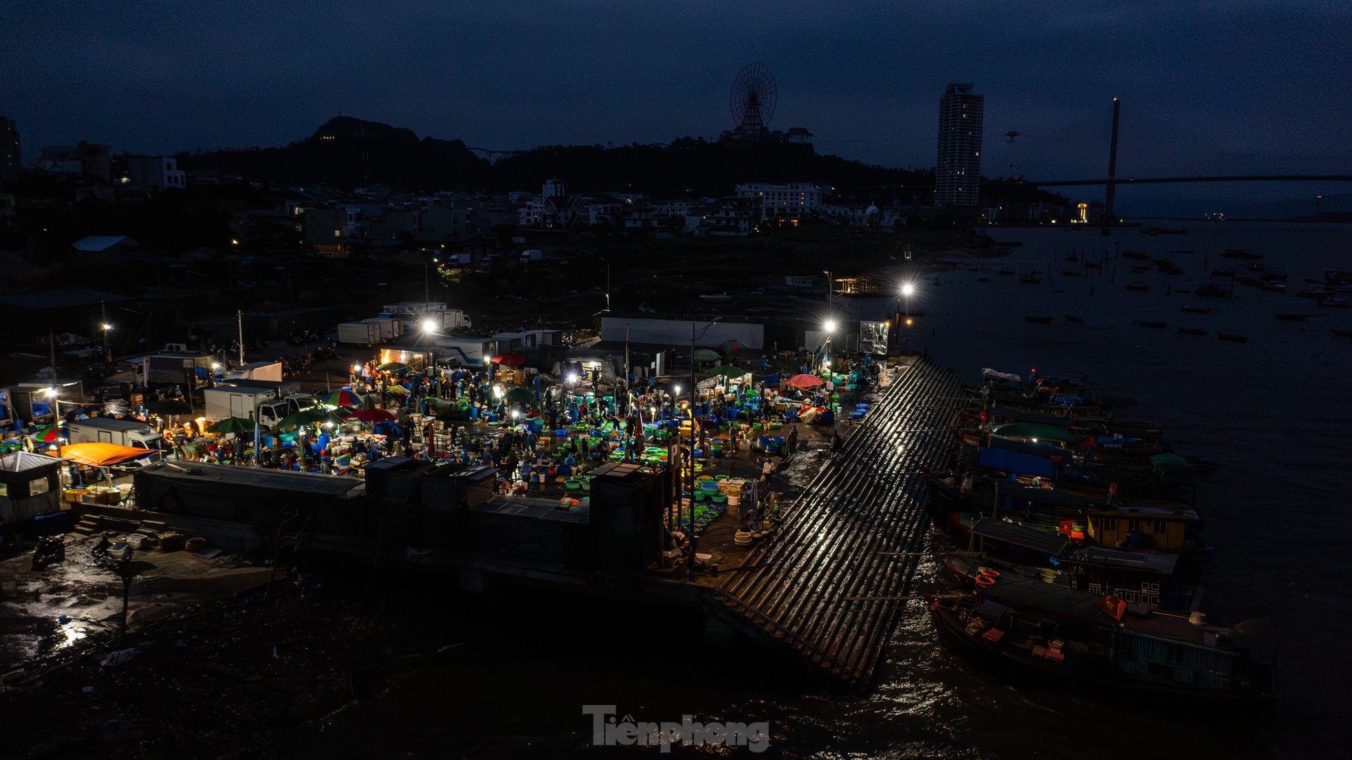 Chợ cá 'không ngủ' duy nhất ở vịnh Hạ Long - Ảnh 1