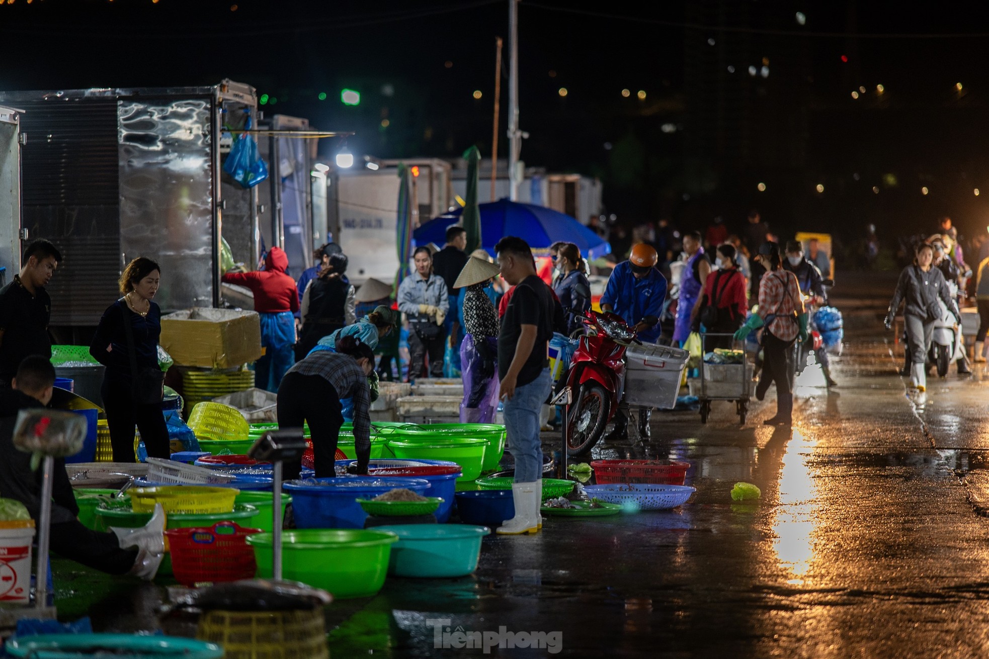 Chợ cá 'không ngủ' duy nhất ở vịnh Hạ Long - Ảnh 2
