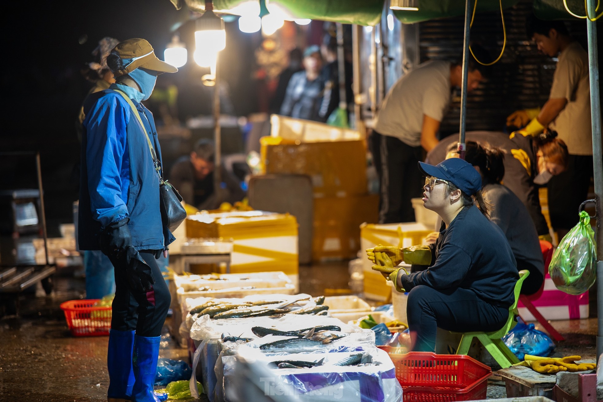 Chợ cá 'không ngủ' duy nhất ở vịnh Hạ Long - Ảnh 3