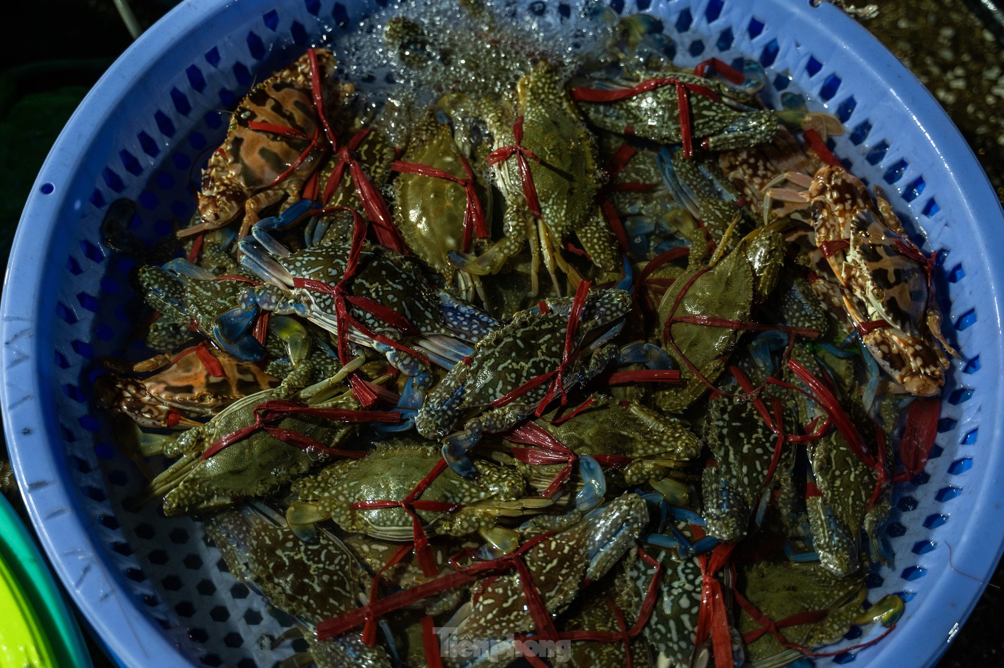 Chợ cá 'không ngủ' duy nhất ở vịnh Hạ Long - Ảnh 13