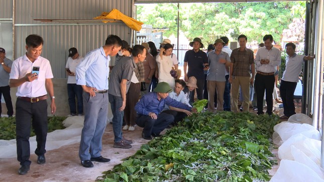 Thu nhập cao nhờ nghề 'ăn cơm đứng' - Ảnh 2