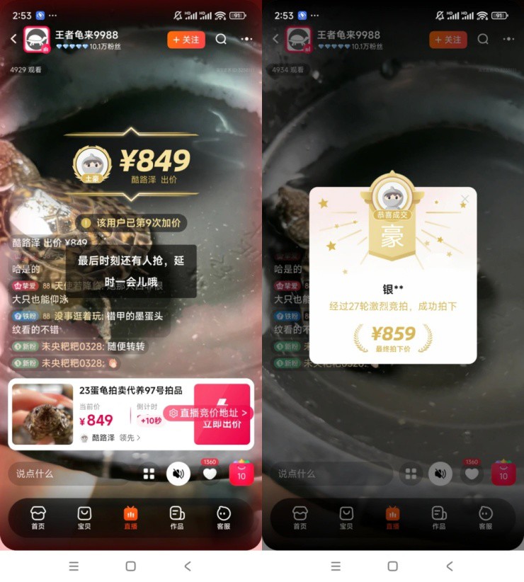 U50 kiếm hàng chục triệu nhờ livestream nuôi thứ không phải của mình - Ảnh 2