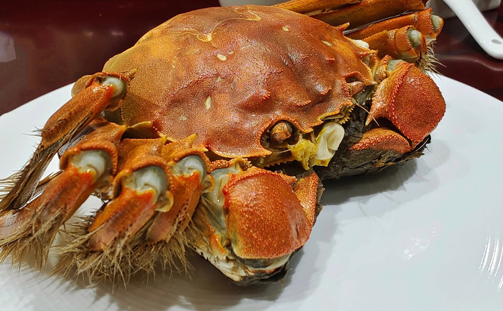 Loại cua "quý tộc" của Trung Quốc trở thành món ăn bình dân tại Việt Nam - Ảnh 1