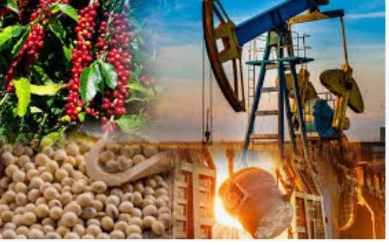 Thị trường ngày 31/10/2024: Cà phê robusta tăng do một yếu tố từ Việt Nam, dầu bật tăng, vàng lập kỷ lục mới - Ảnh 1