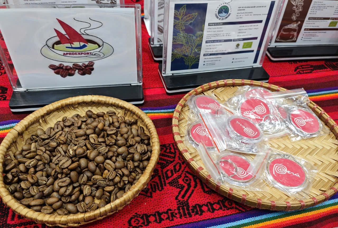 Việt Nam chi hơn nửa tỉ USD nhập khẩu cà phê - Ảnh 1