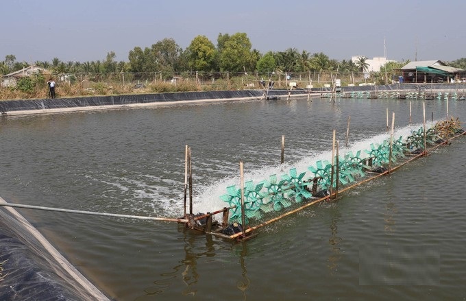 Nuôi con "bật tanh tách", ông nông dân phấn khởi thu lãi 5 tỷ đồng/năm - Ảnh 2