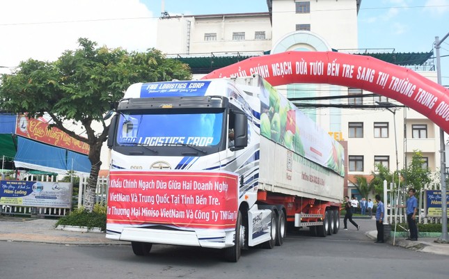 Dừa tươi Bến Tre chính thức xuất khẩu Trung Quốc - Ảnh 1