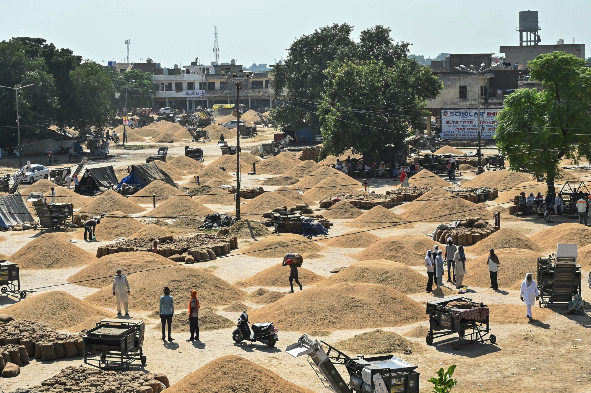 Ấn Độ nới lỏng xuất khẩu gạo và sự tác động đến thị trường quốc tế - Ảnh 1