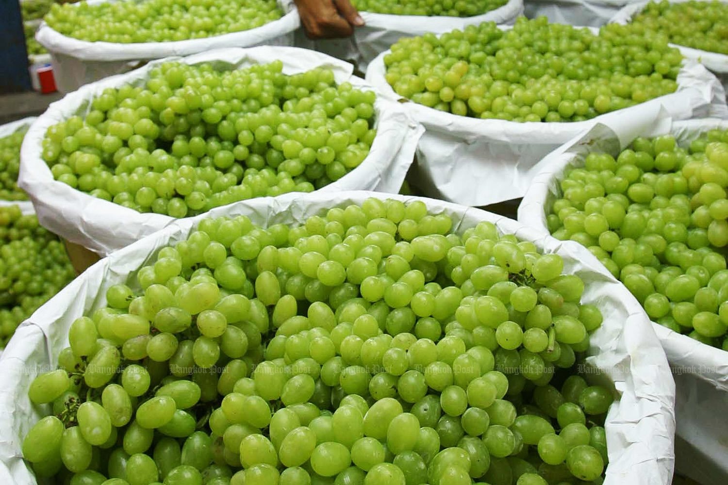 Thái Lan có động thái mới vụ 7 tấn nho Shine Muscat nghi nhiễm độc - Ảnh 1