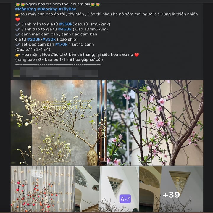 Chưa đến Tết, hoa rừng đã tấp nập xuống phố, hút khách mua - Ảnh 16