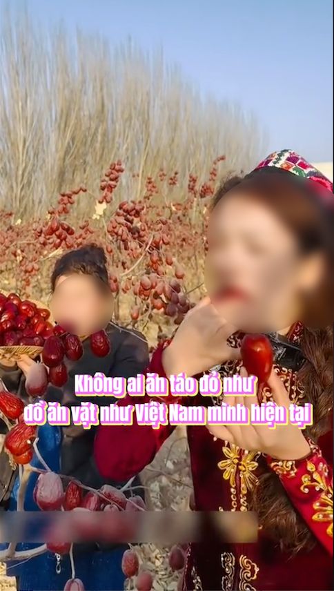 "Không ai ăn táo đỏ như đồ ăn vặt như Việt Nam mình hiện tại", phát ngôn của TikToker khiến MXH bùng nổ tranh cãi - Ảnh 1
