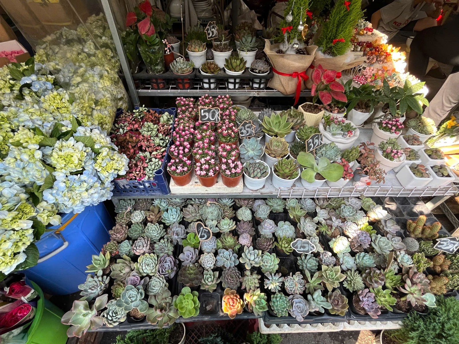 Thị trường hoa, quà tặng tri ân thầy cô dịp 20-11 có gì đặc biệt? - Ảnh 11