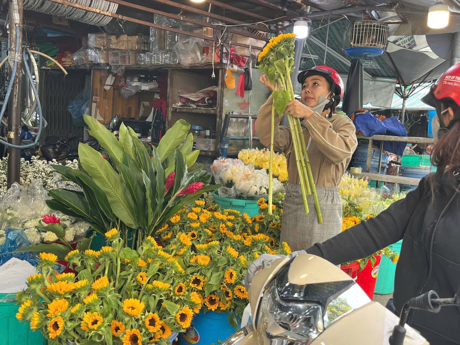 Thị trường hoa, quà tặng tri ân thầy cô dịp 20-11 có gì đặc biệt? - Ảnh 3