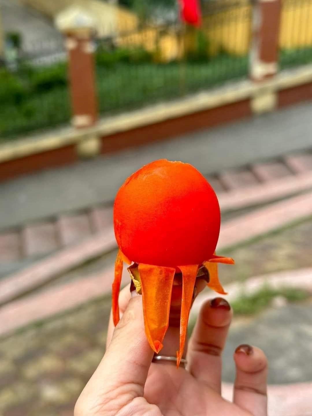 Mặt hàng mới, lần đầu tiên xuất hiện tại Việt Nam "nhuộm đỏ" chợ Việt, khách bị hút hồn - Ảnh 1