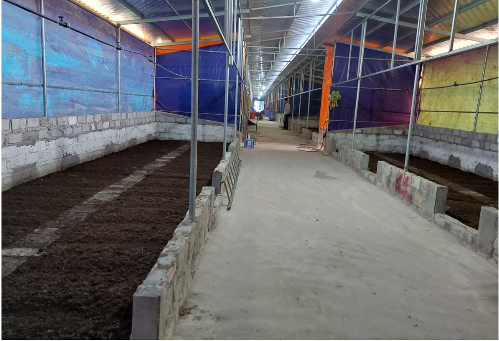 Chị nông dân nuôi con "ăn gì thải nấy" làm thức ăn cho cây, thu lãi 2,6 tỷ đồng/năm - Ảnh 5