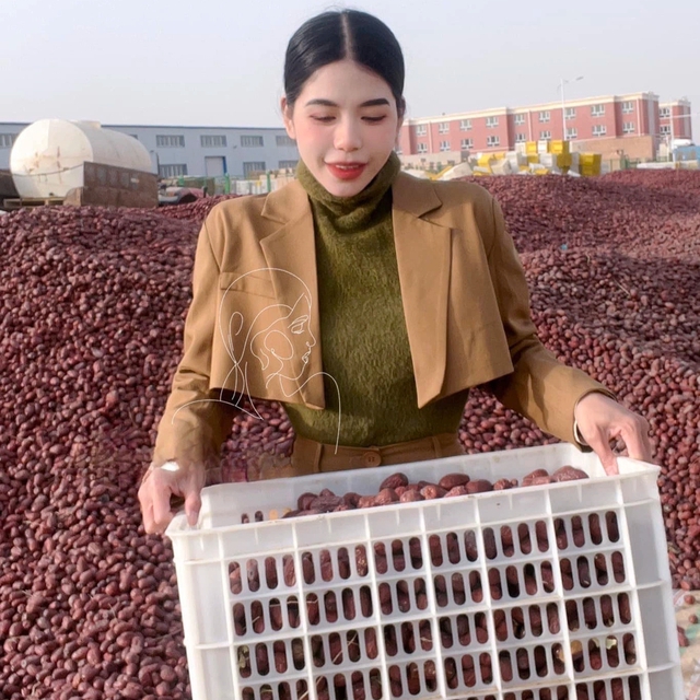 "Thần dược" trồng ở vùng đất lửa của Trung Quốc tràn sang Việt Nam, có loại giá chỉ 50.000 đồng/kg - Ảnh 5