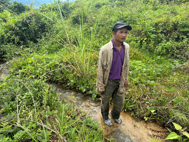 Thủy điện đền bù vì xả nước gây chết 600 cây keo của người dân - Ảnh 1