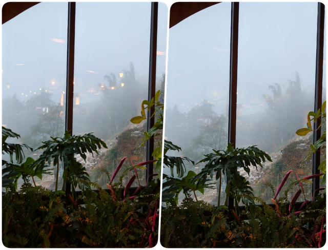 Khai phá sức mạnh của AI sáng tạo và ColorOS 15 tiện ích - Ảnh 10