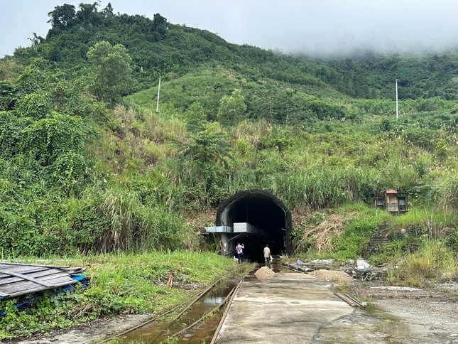 Thủy điện đền bù vì xả nước gây chết 600 cây keo của người dân - Ảnh 2