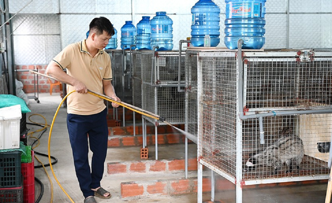 Anh nông dân lãi 500 triệu đồng nhờ "bẻ lái" nuôi con "hiền như cục đất" mê ăn chuối - Ảnh 1