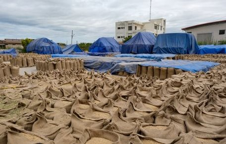 Một loại nông sản ‘trời ban’ cho Việt Nam đang bán đắt như tôm tươi tại Ukraine: Xuất khẩu tăng nóng 1.500%, nước ta là ‘trùm’ đứng thứ 3 thế giới - Ảnh 1