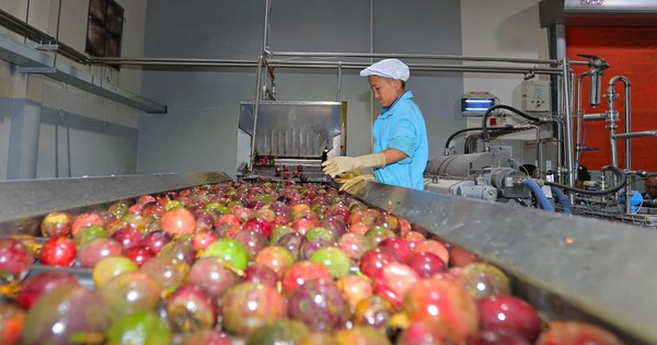 Việt Nam vừa ghi nhận một kỷ lục xuất khẩu sang thị trường Trung Quốc, mặt hàng gì mà "hot" đến vậy?