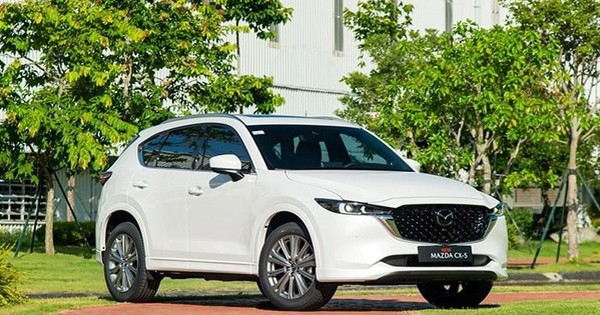 SUV dưới 1 tỷ tại Việt Nam: 2 mẫu xe bỏ xa đối thủ, khách Việt thích xe trung tính?