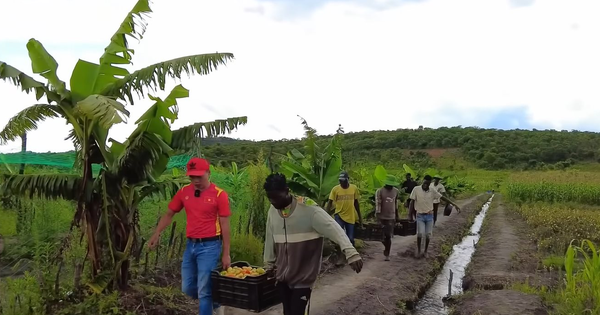 Loại quả bán đầy ở Việt Nam, sang châu Phi được thương lái tranh mua như đặc sản, khiến cả chợ một phen náo loạn