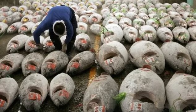 'Doanh nghiệp thủy sản còn gặp nhiều khó khăn về cơ chế, chính sách, thủ tục hành chính' - Ảnh 1