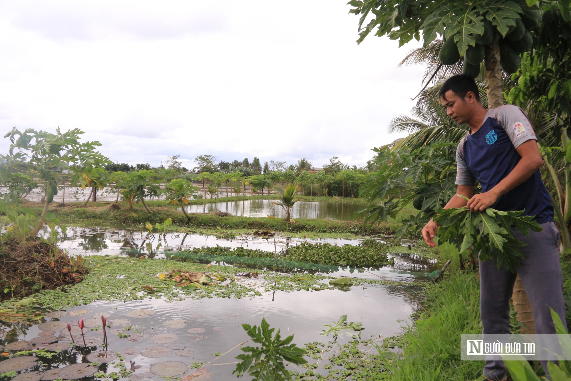 Nuôi con đặc sản hiền như đất, chỉ mê ăn thứ rẻ tiền, chàng trai 8x thu lãi nửa tỷ đồng mỗi năm - Ảnh 1