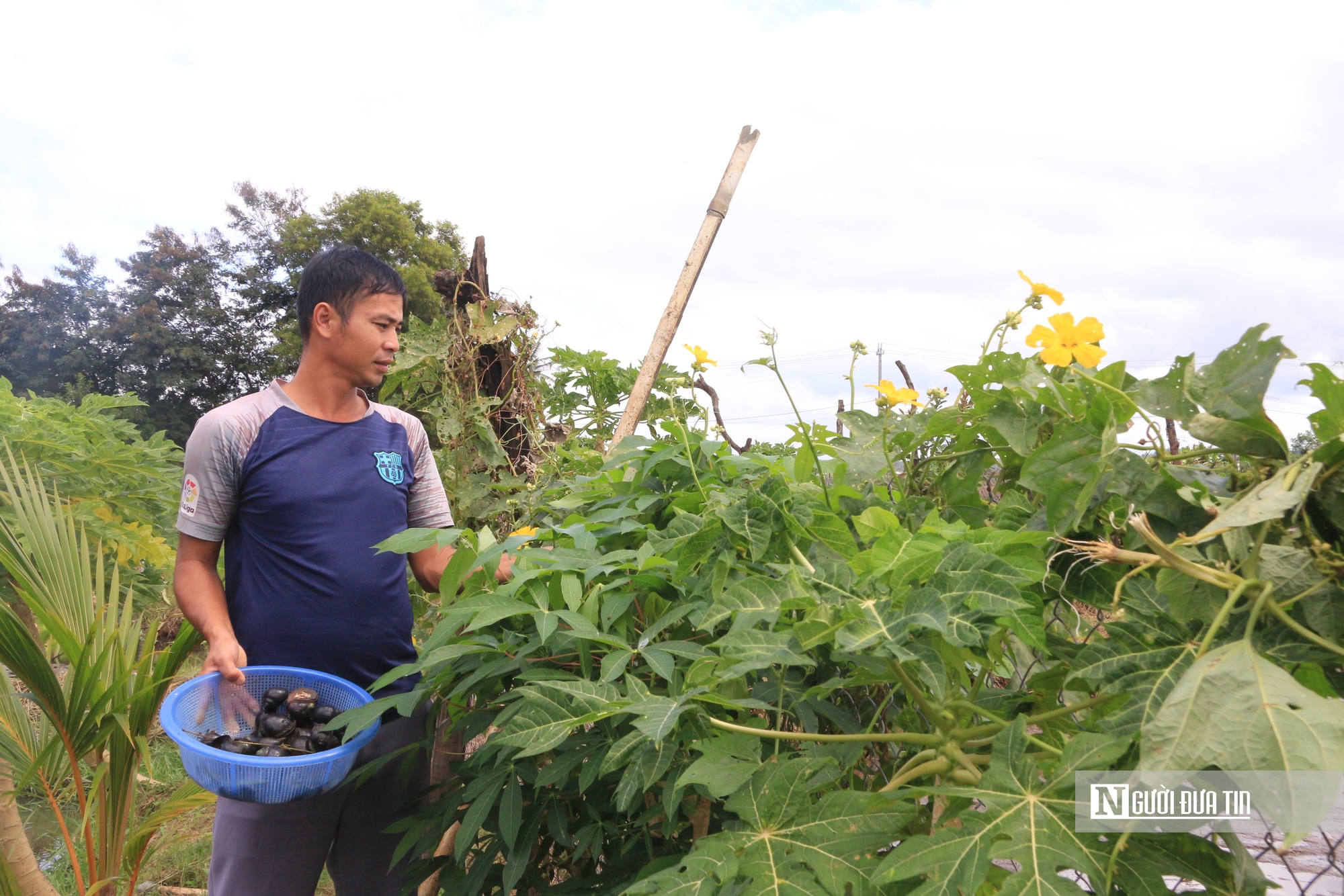 Nuôi con đặc sản hiền như đất, chỉ mê ăn thứ rẻ tiền, chàng trai 8x thu lãi nửa tỷ đồng mỗi năm - Ảnh 2