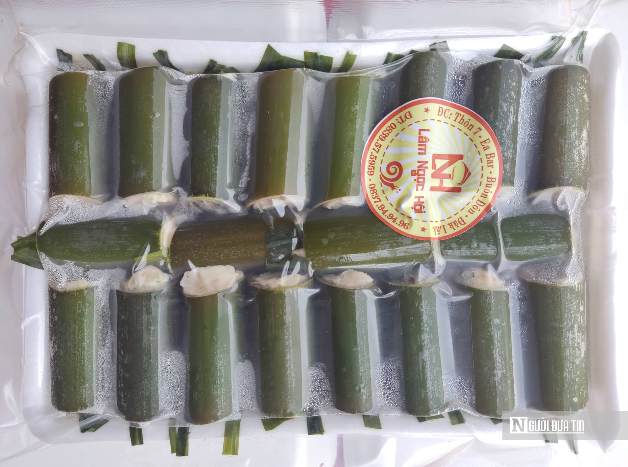 Nuôi con đặc sản hiền như đất, chỉ mê ăn thứ rẻ tiền, chàng trai 8x thu lãi nửa tỷ đồng mỗi năm - Ảnh 7