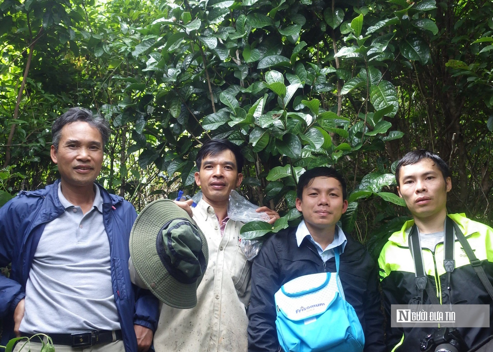 Hành trình biến loài cây dại trên rừng thành "mỏ vàng" của anh thanh niên "gàn dở" - Ảnh 7